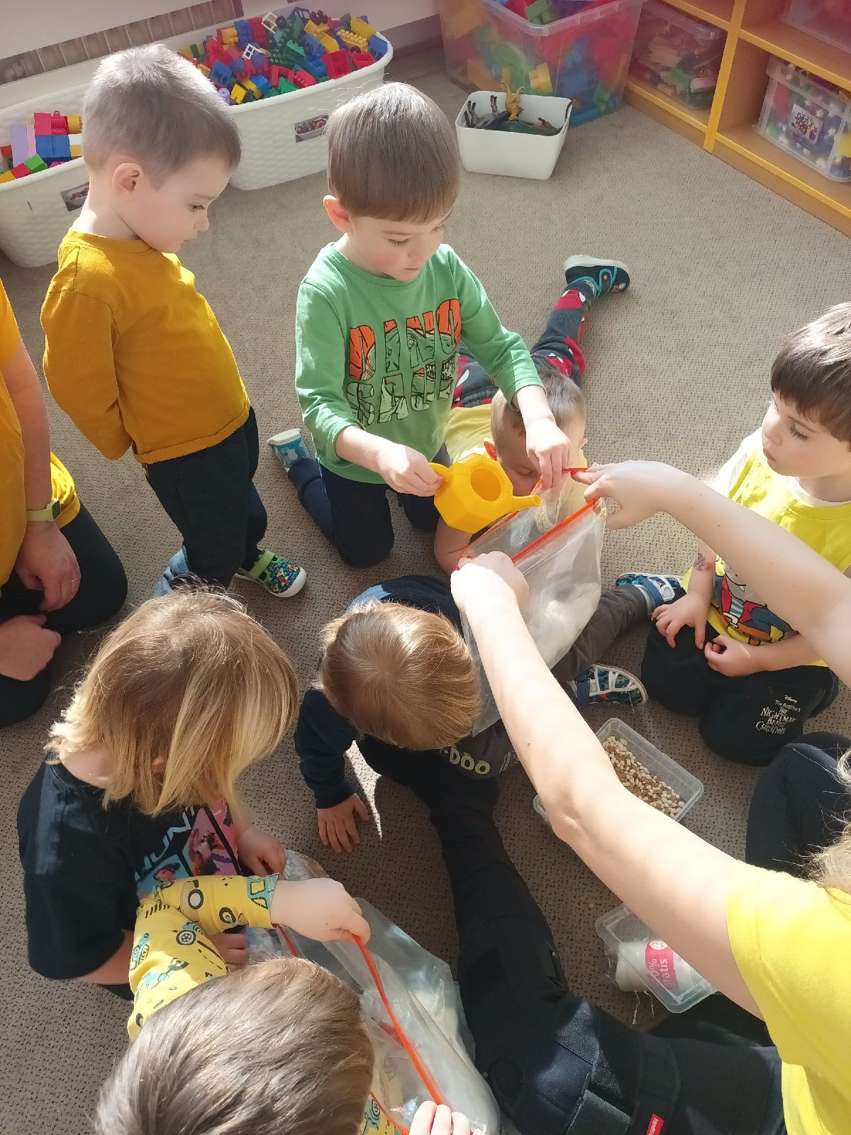 fotografie - 2026-03-23T071446.490