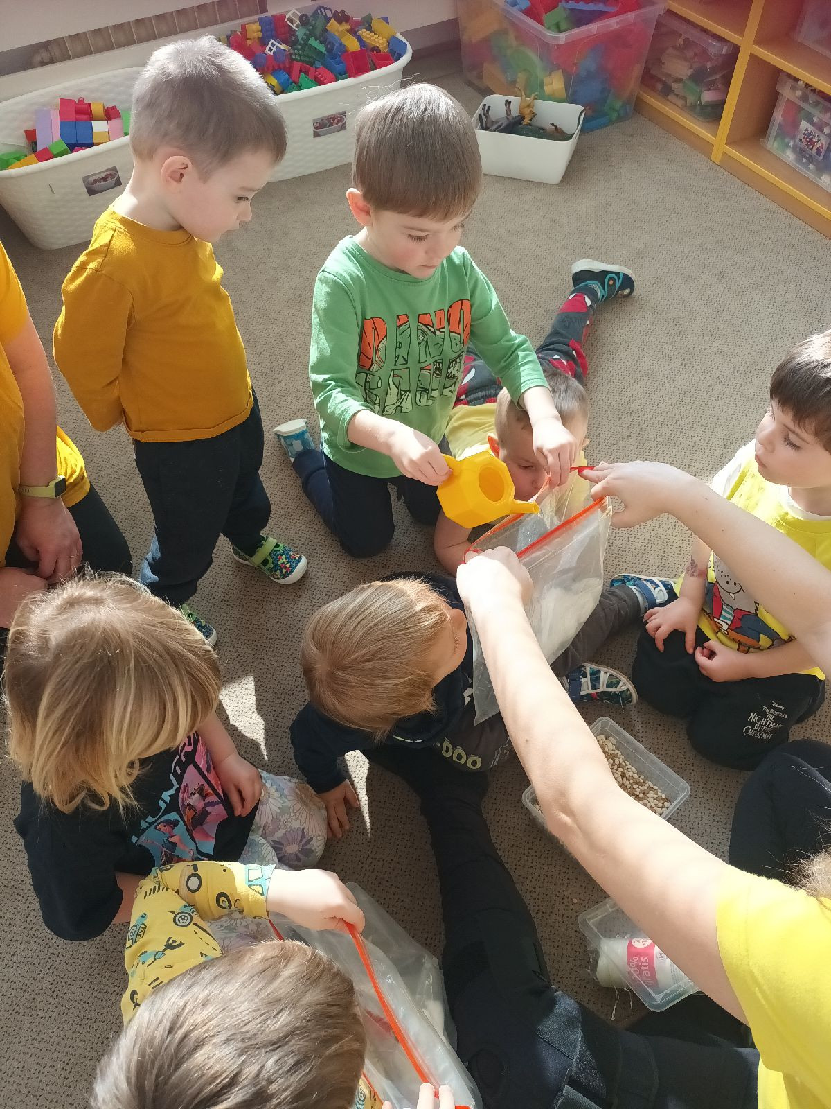 fotografie - 2026-03-23T071450.154