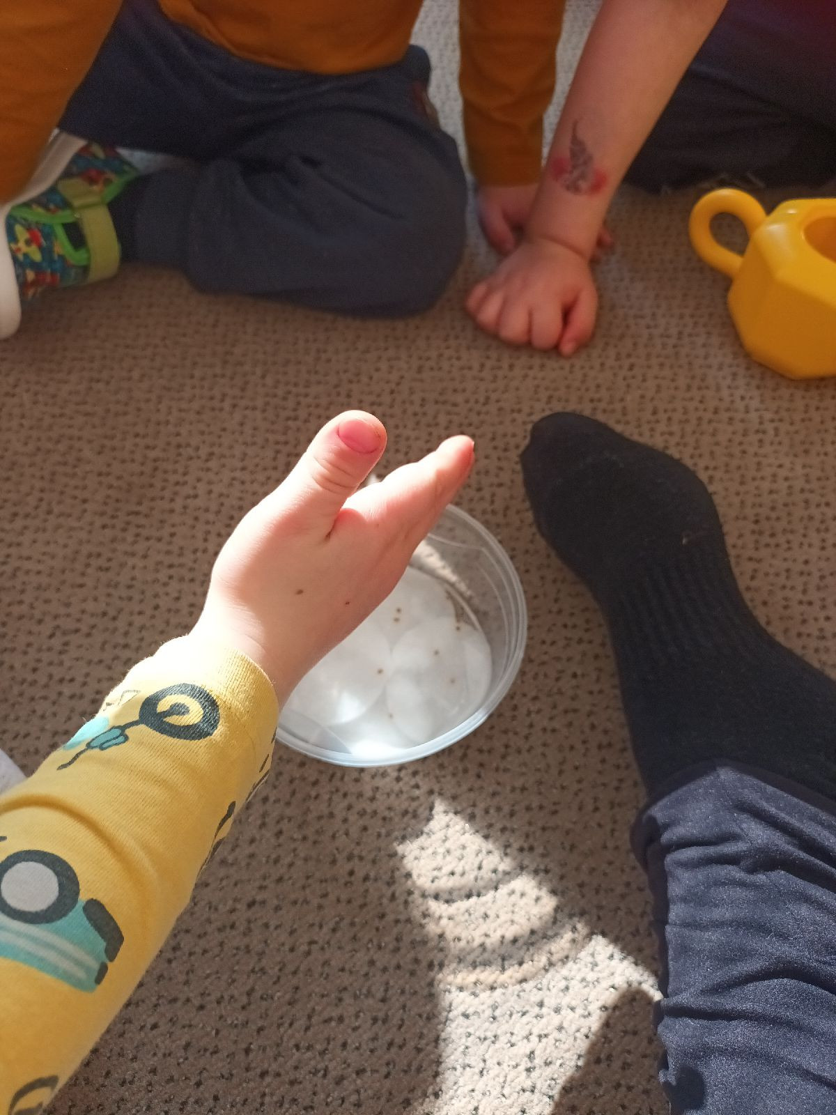 fotografie - 2026-03-23T071459.913