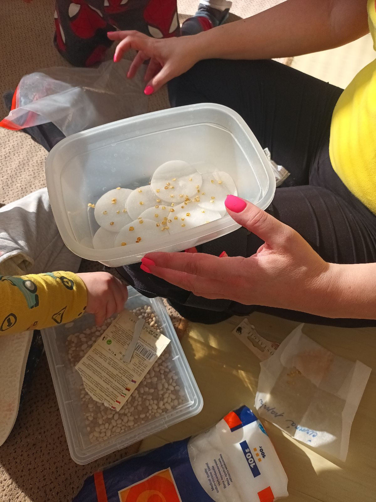 fotografie - 2026-03-23T071501.487