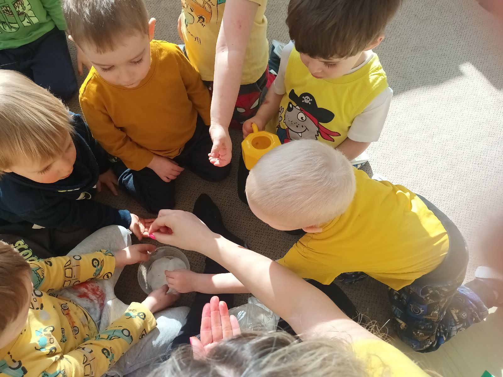 fotografie - 2026-03-23T071507.810