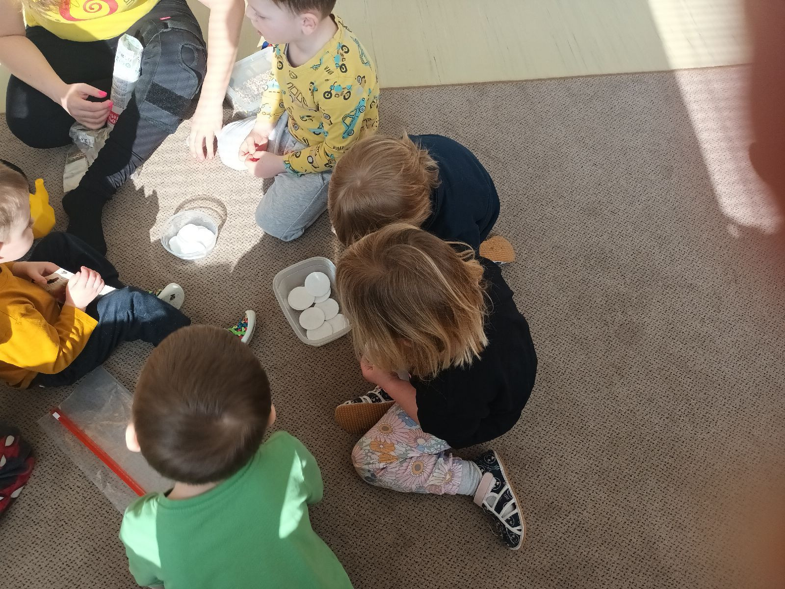 fotografie - 2026-03-23T071522.401