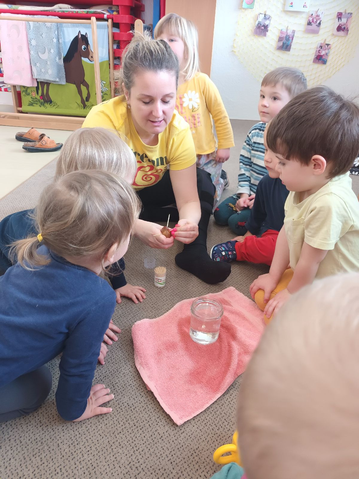 fotografie - 2026-03-23T071528.839