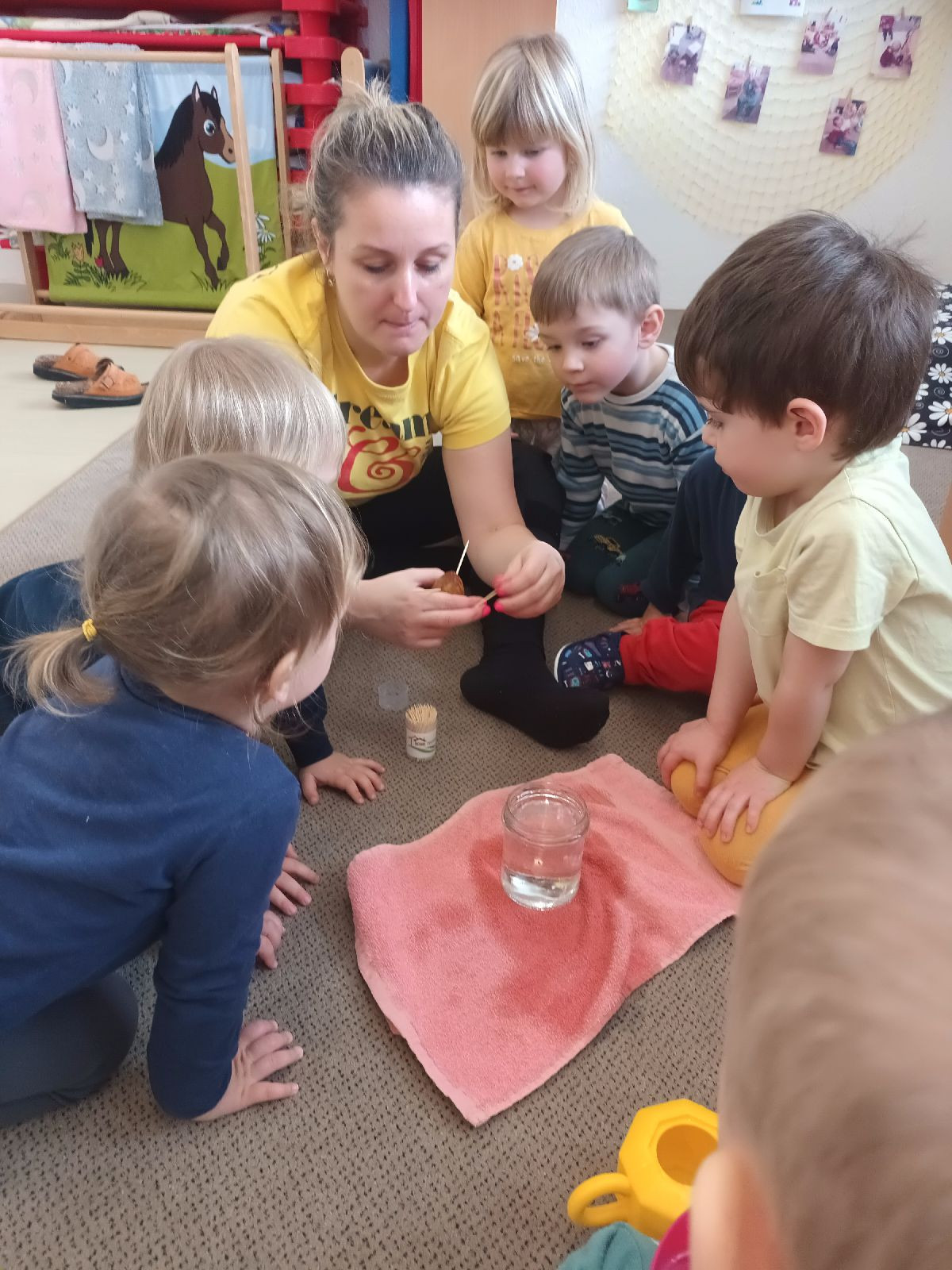 fotografie - 2026-03-23T071539.057