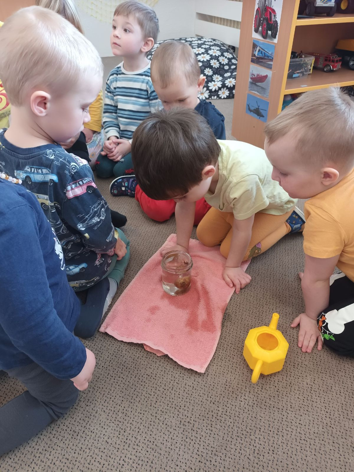 fotografie - 2026-03-23T071541.723