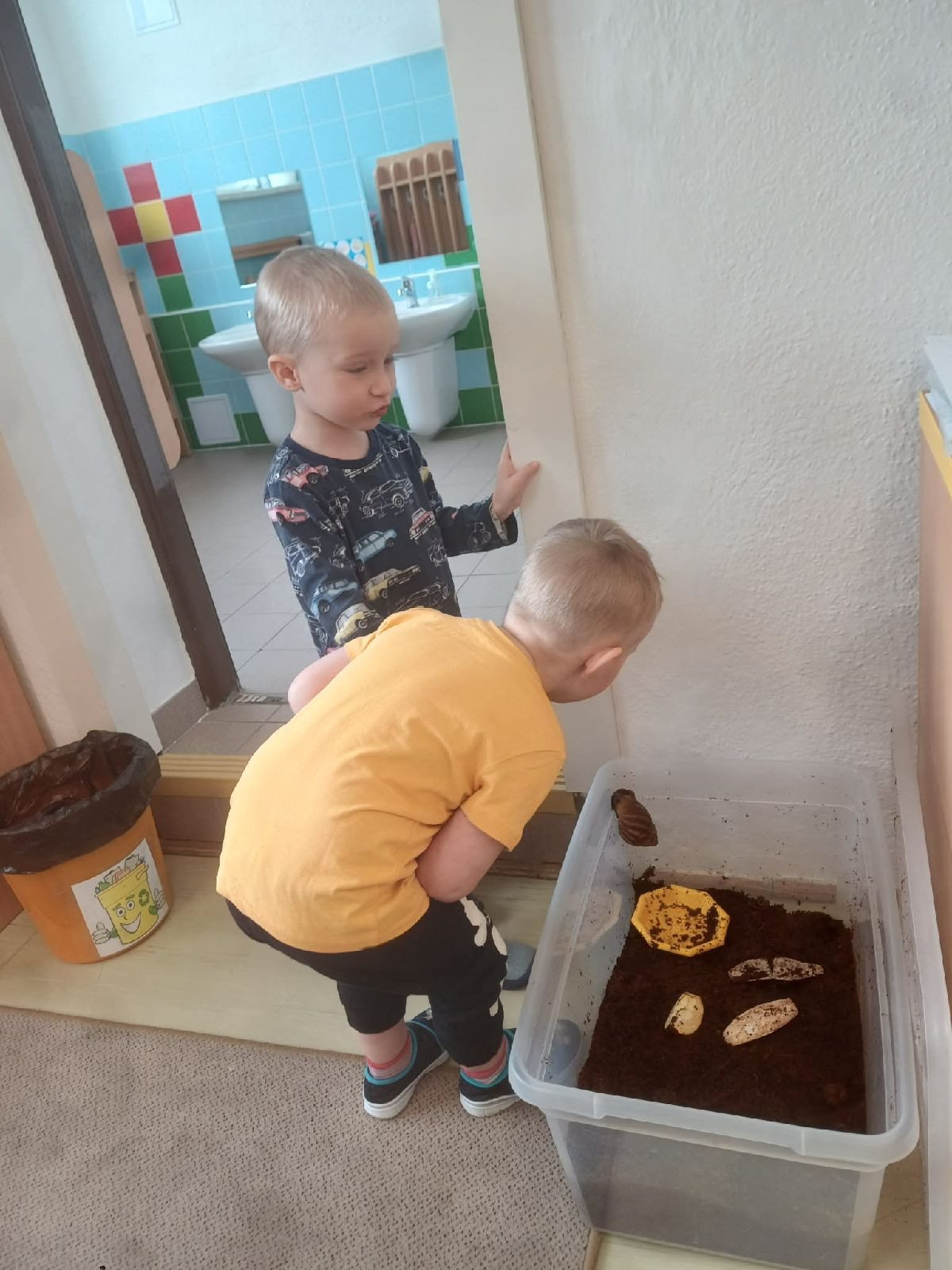 fotografie - 2026-03-23T071648.412