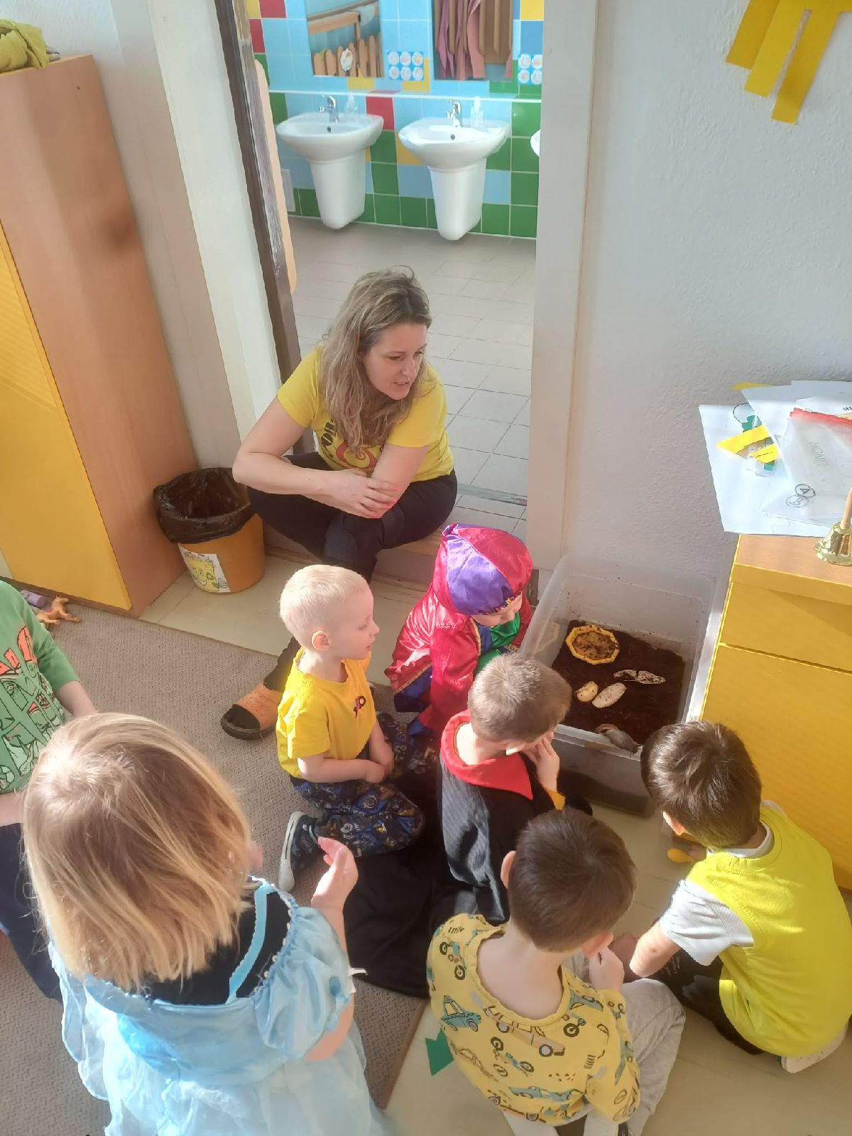 fotografie - 2026-03-23T071659.094