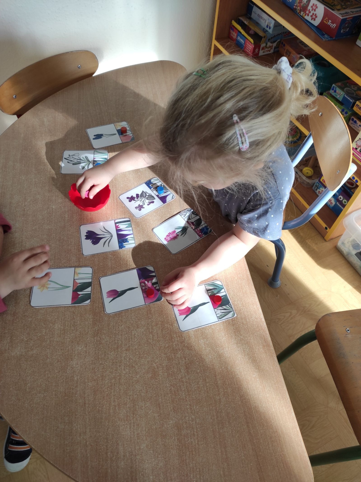 fotografie - 2026-03-31T152500.784