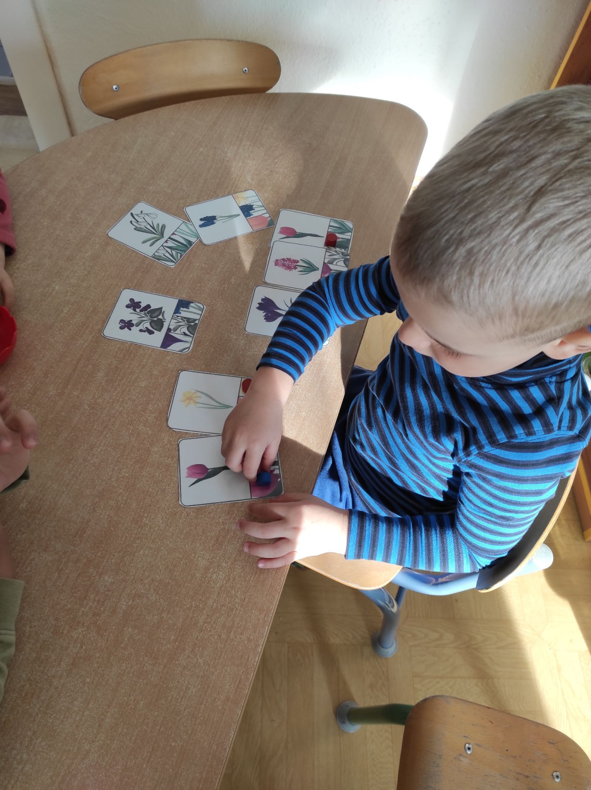 fotografie - 2026-03-31T152501.889