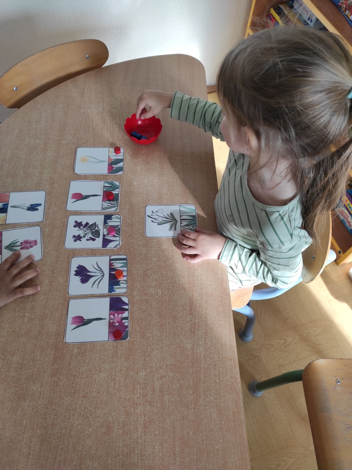 fotografie - 2026-03-31T152505.133