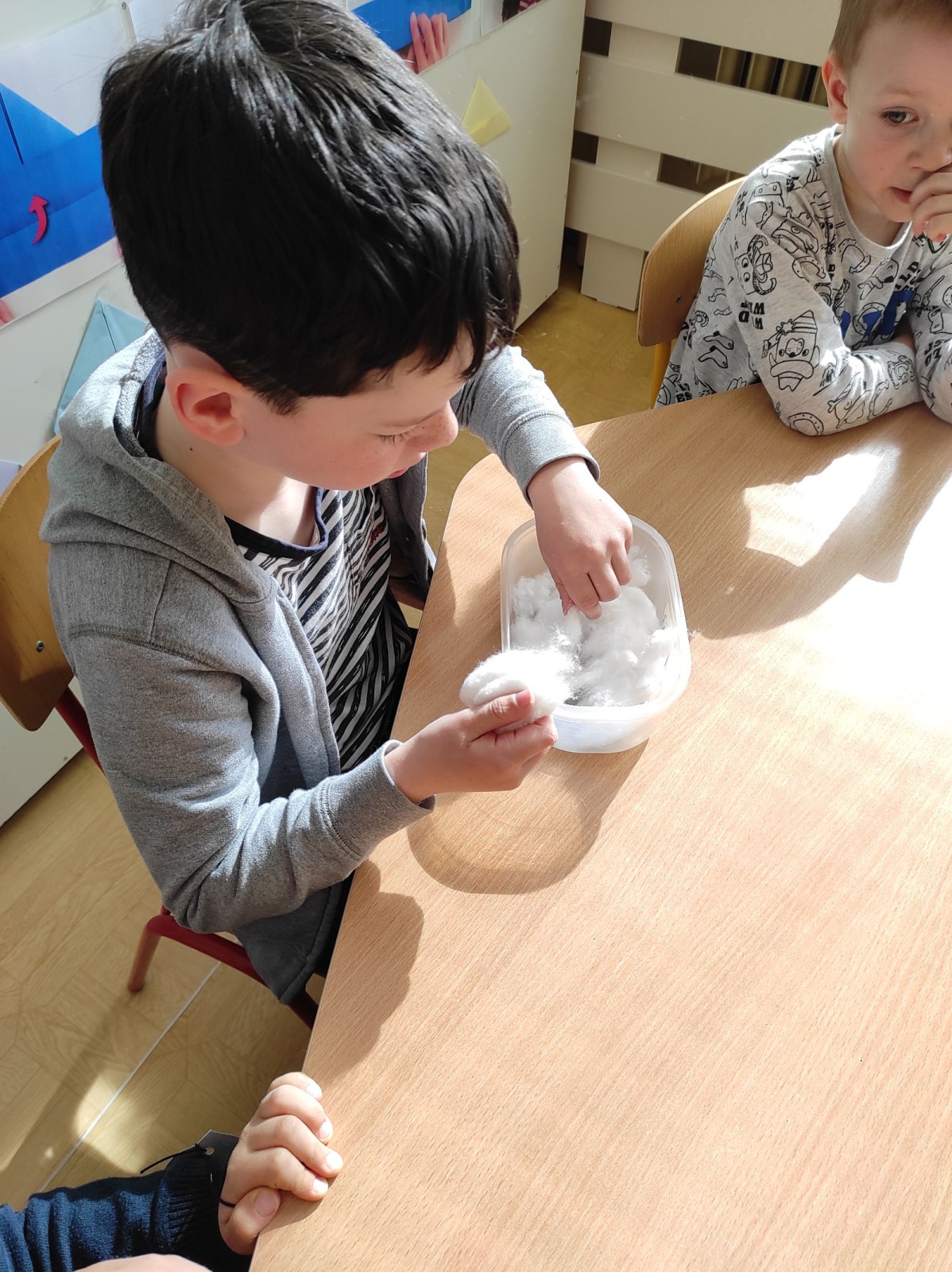 fotografie - 2026-03-31T152529.790