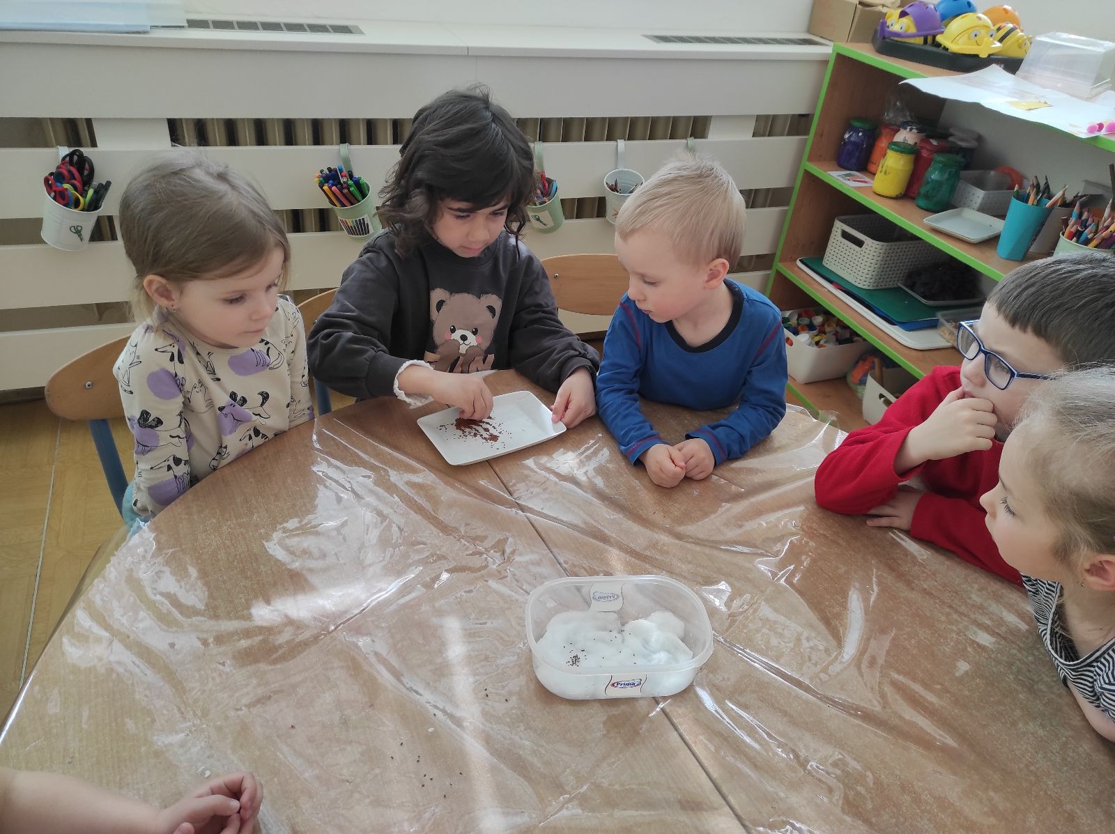 fotografie - 2026-03-31T152530.772