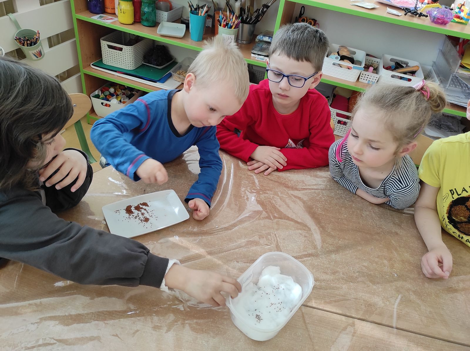 fotografie - 2026-03-31T152531.775