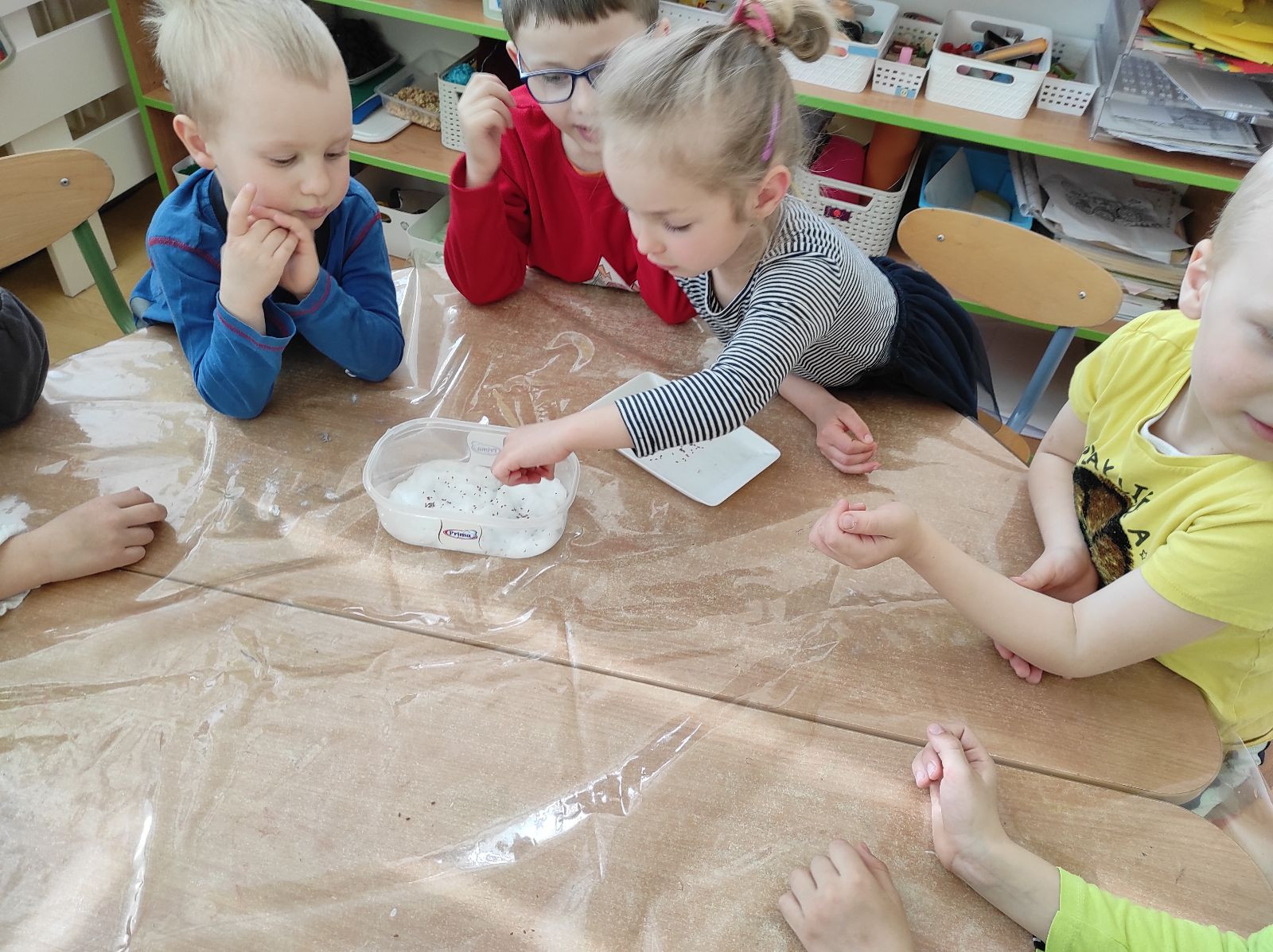 fotografie - 2026-03-31T152532.288