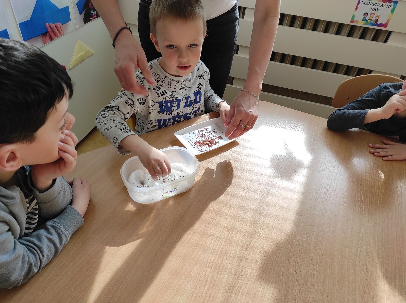 fotografie - 2026-03-31T152535.482