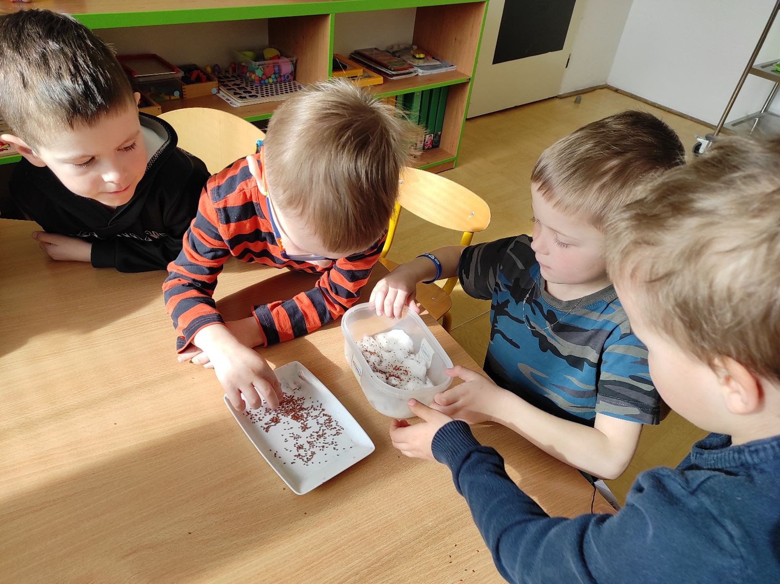 fotografie - 2026-03-31T152536.632