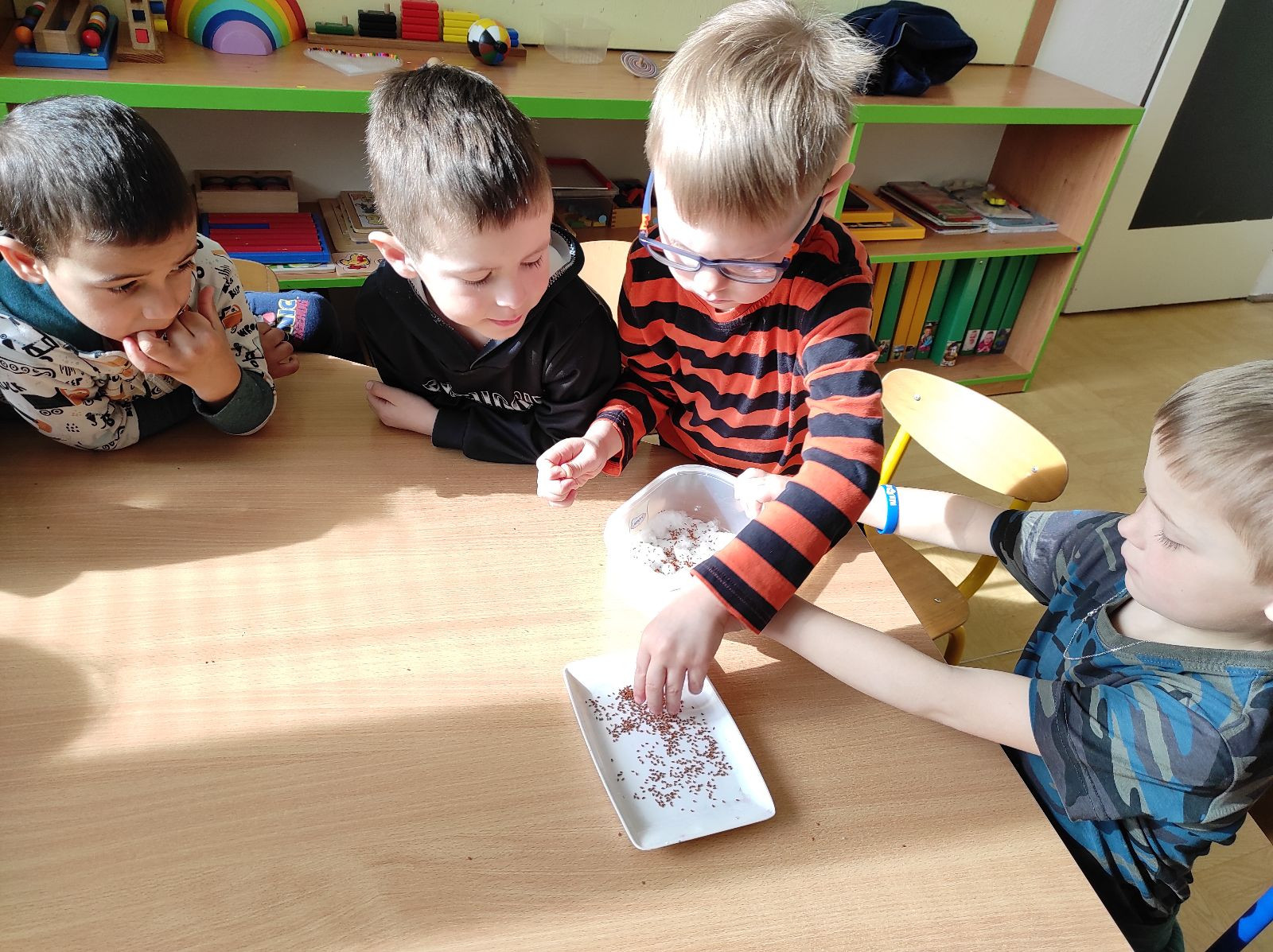 fotografie - 2026-03-31T152539.805