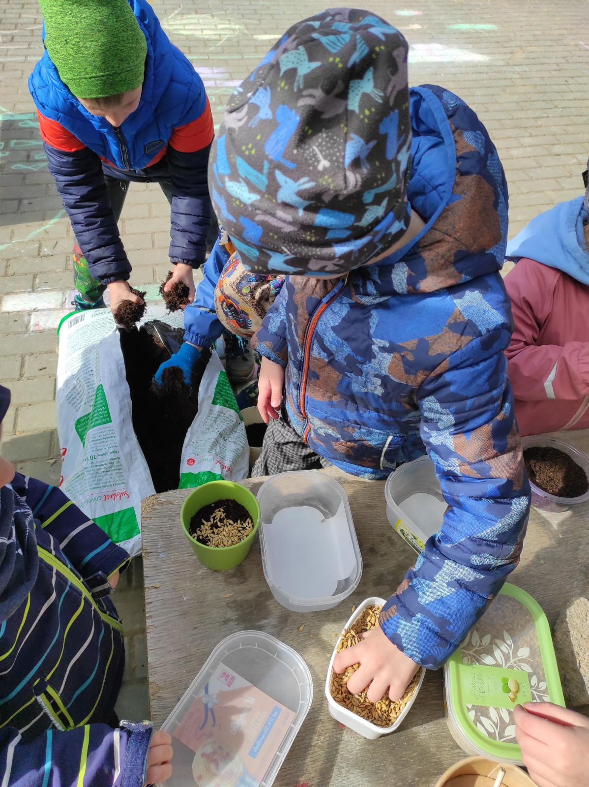 fotografie - 2026-03-31T152542.795