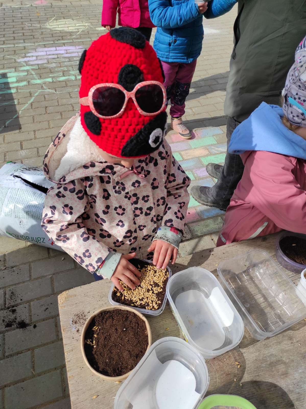 fotografie - 2026-03-31T152552.934