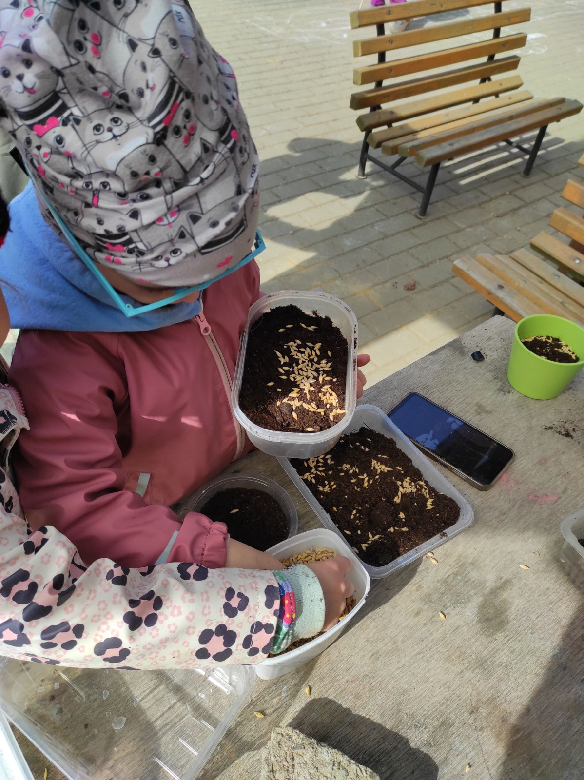 fotografie - 2026-03-31T152553.736