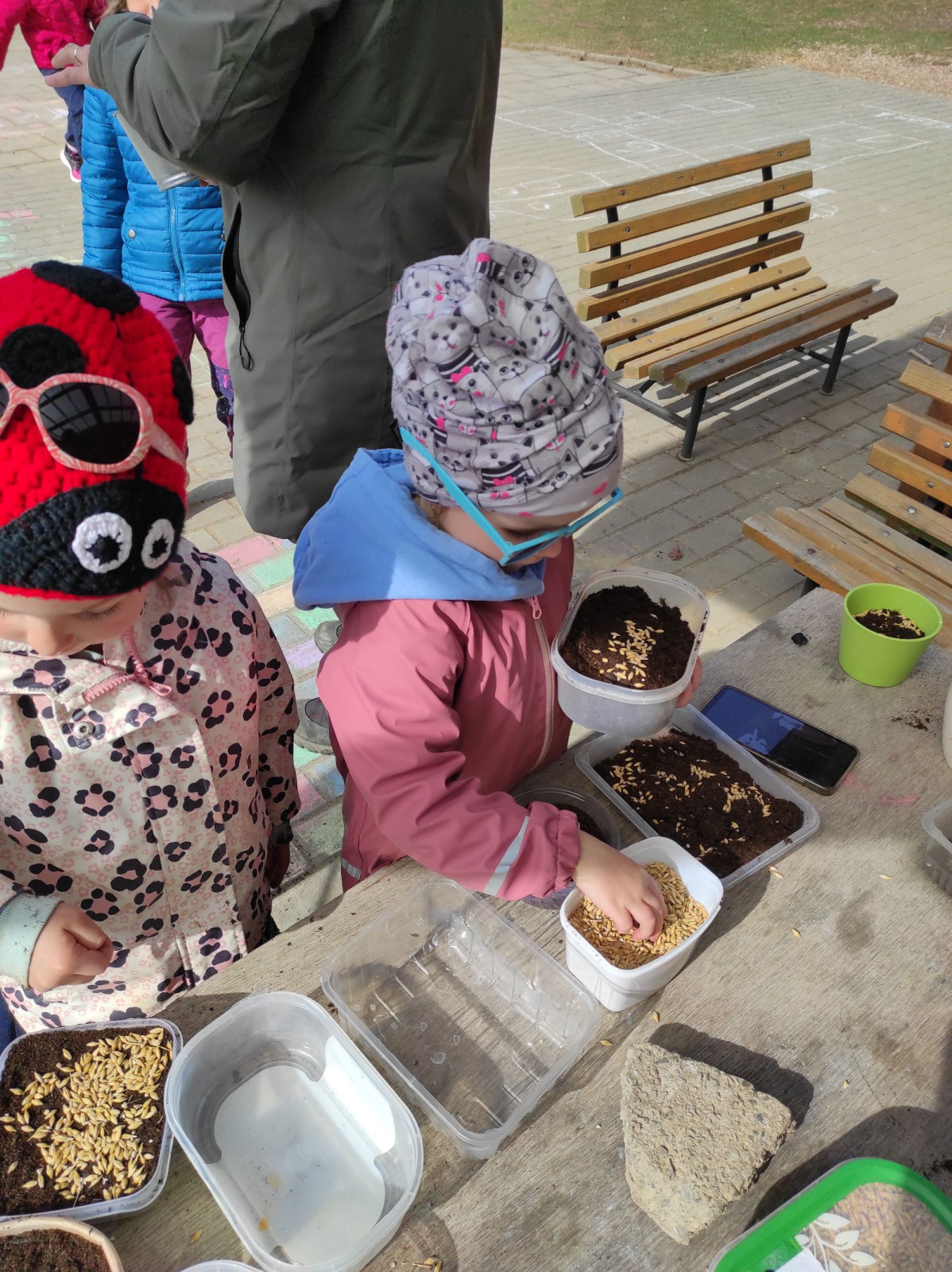 fotografie - 2026-03-31T152556.835