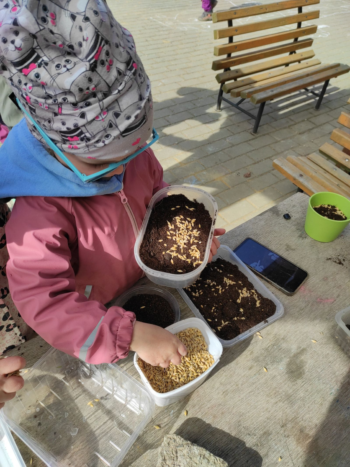 fotografie - 2026-03-31T152603.589