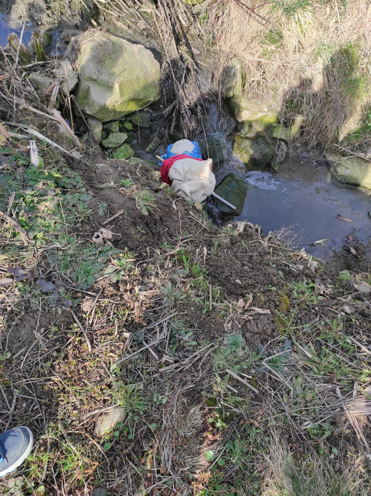 fotografie - 2026-03-31T152858.259