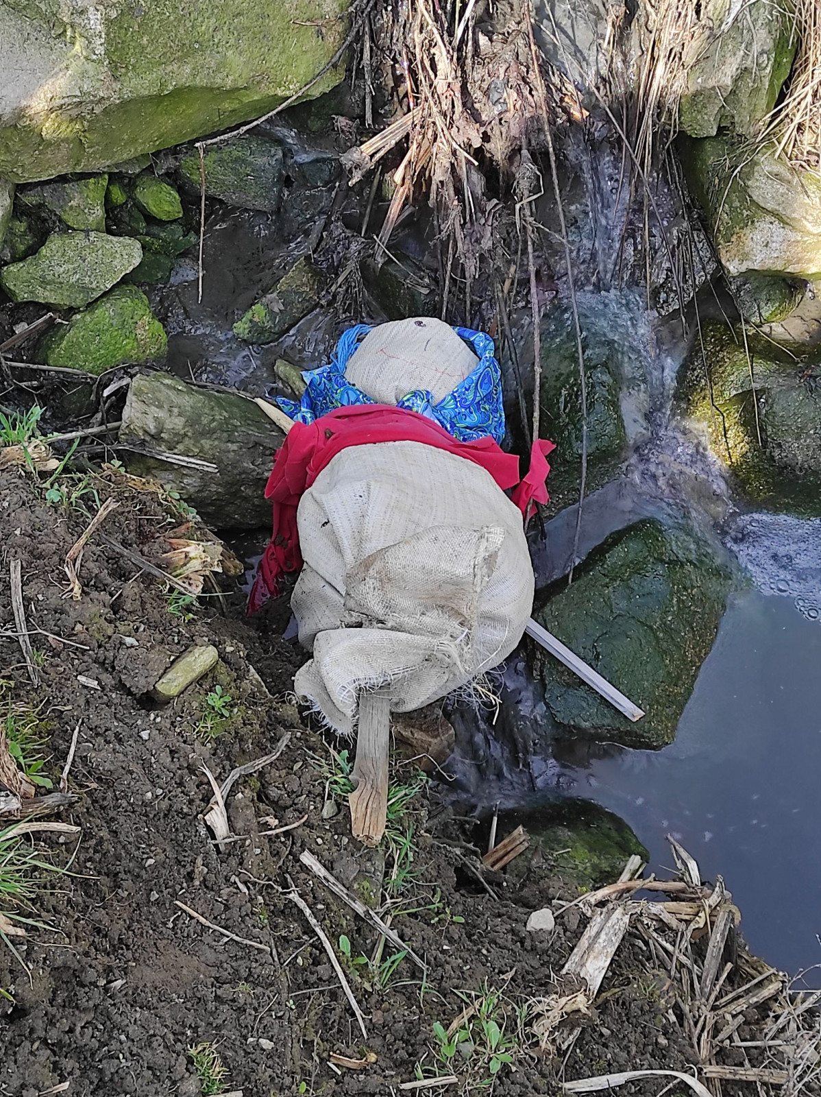 fotografie - 2026-03-31T152858.697