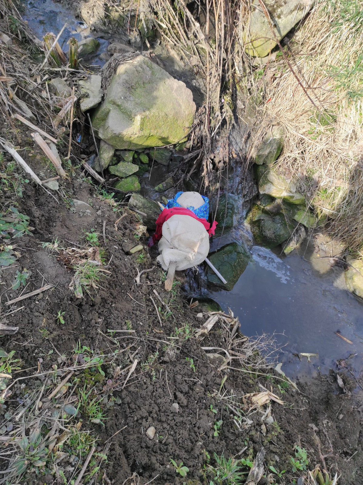 fotografie - 2026-03-31T152900.316