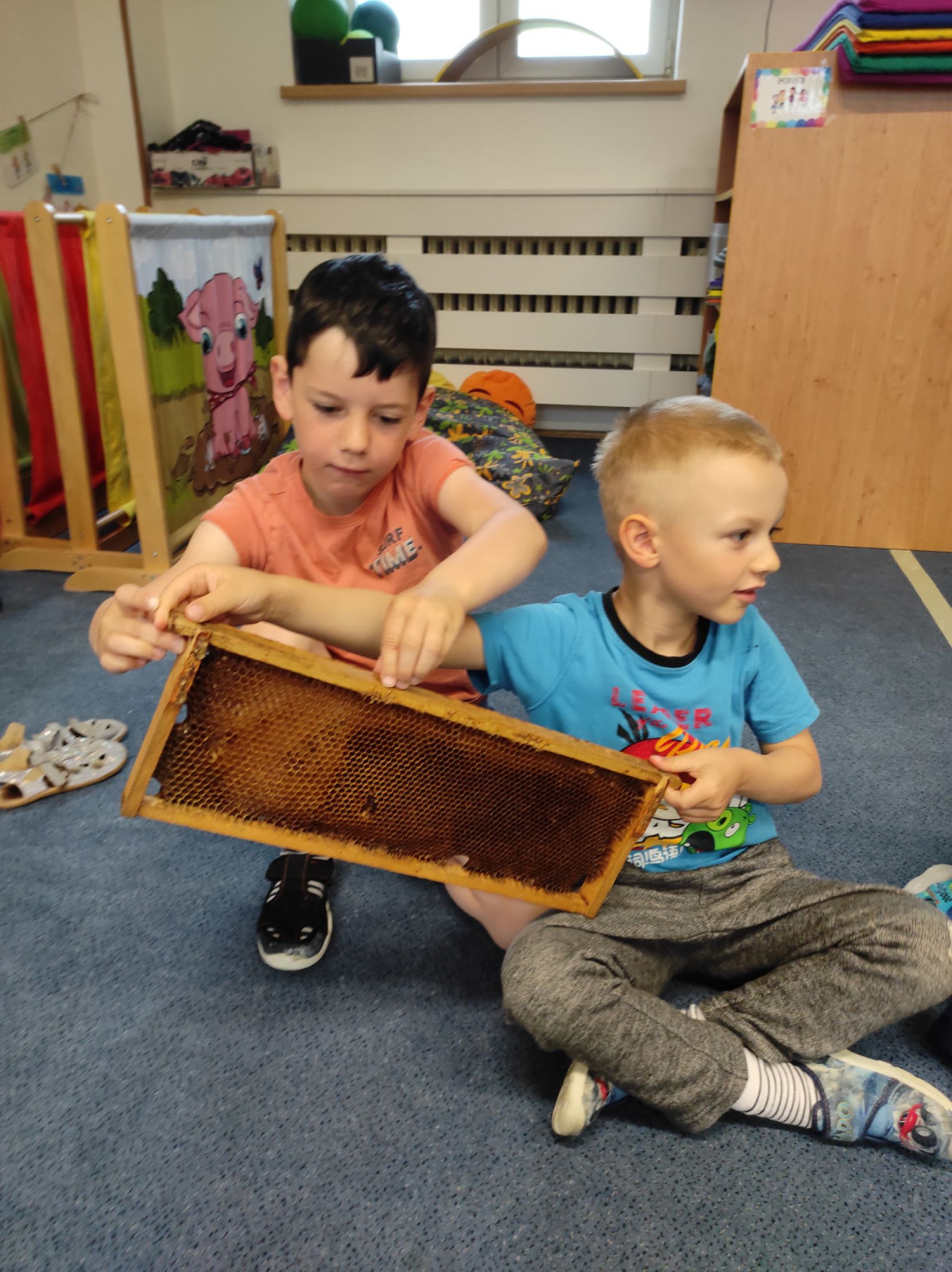 fotografie - 2026-06-15T070037.284
