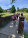 fotografie - 2026-06-26T124302.339