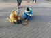 IMG-20241210-WA0026
